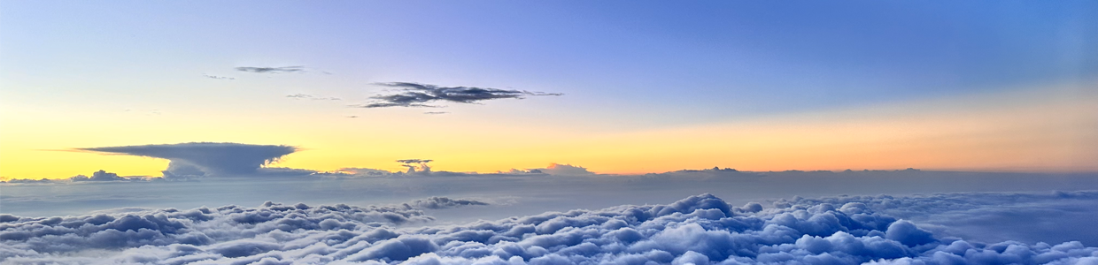 store域名查询网